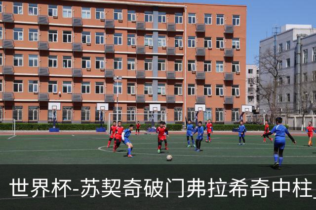 世界杯-苏契奇破门弗拉希奇中柱 克罗地亚半场1-0加纳