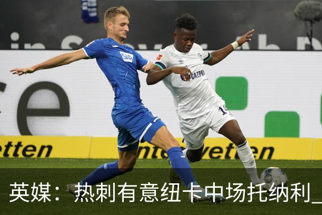 英媒：热刺有意纽卡中场托纳利 除巨额转会费外不会出售